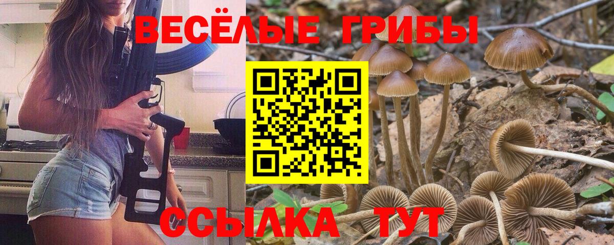 Галлюциногенные грибы ЛСД Рославль